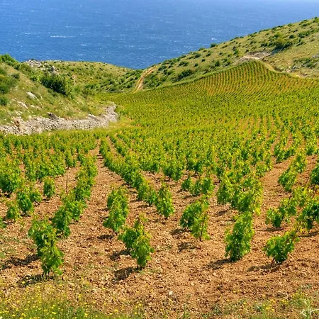 In With Sea View, Terrace, Air Conditioning, Wi-fi Διαμέρισμα