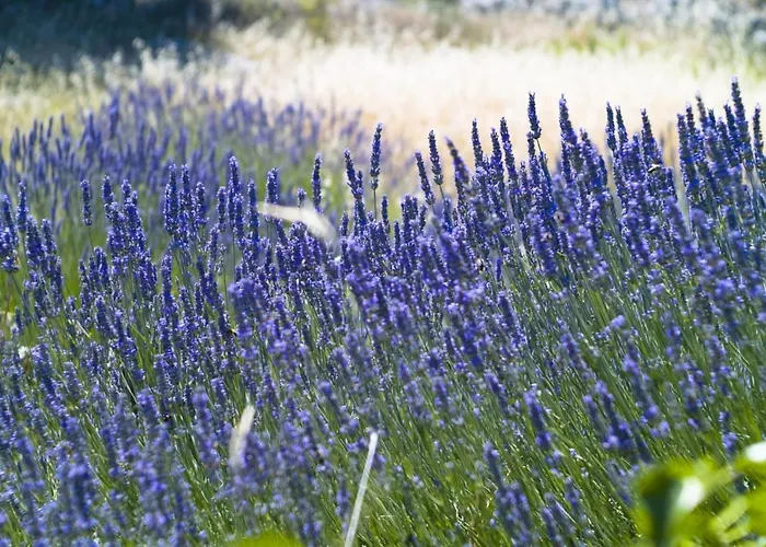 In With Sea View, Terrace, Air Conditioning, Wi-fi Appartement Hvar Town