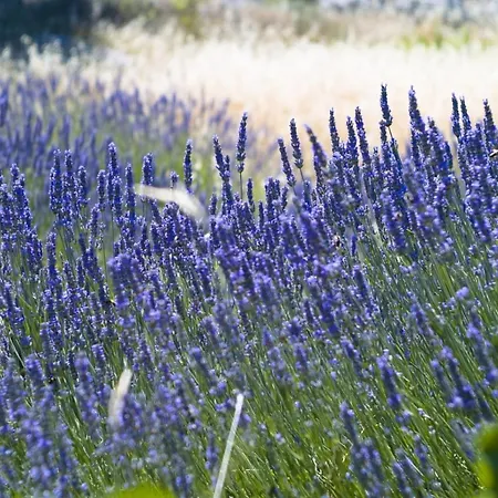 In With Sea View, Terrace, Air Conditioning, Wi-fi 公寓 赫瓦尔