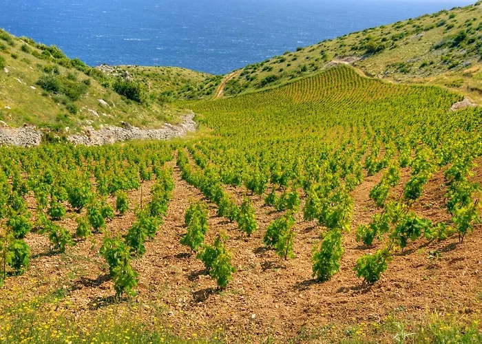 In With Sea View, Terrace, Air Conditioning, Wi-fi 公寓